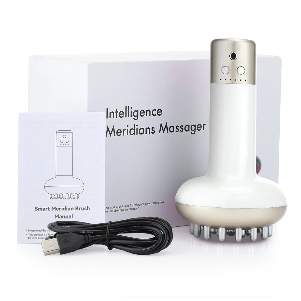 Hailicare Smart Meridian Massager | Hot Compress Anti-Cellulite